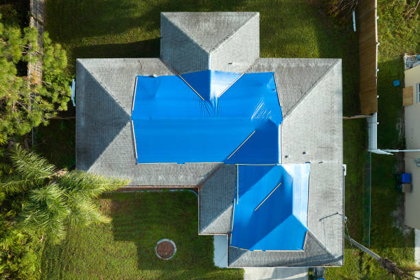 Best Roof Moss and Algae Removal  in Russell, KS